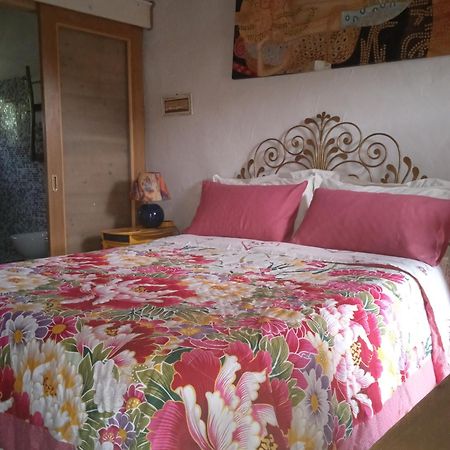 Bed and Breakfast Poggio Del Sole Бассано-дель-Граппа Экстерьер фото