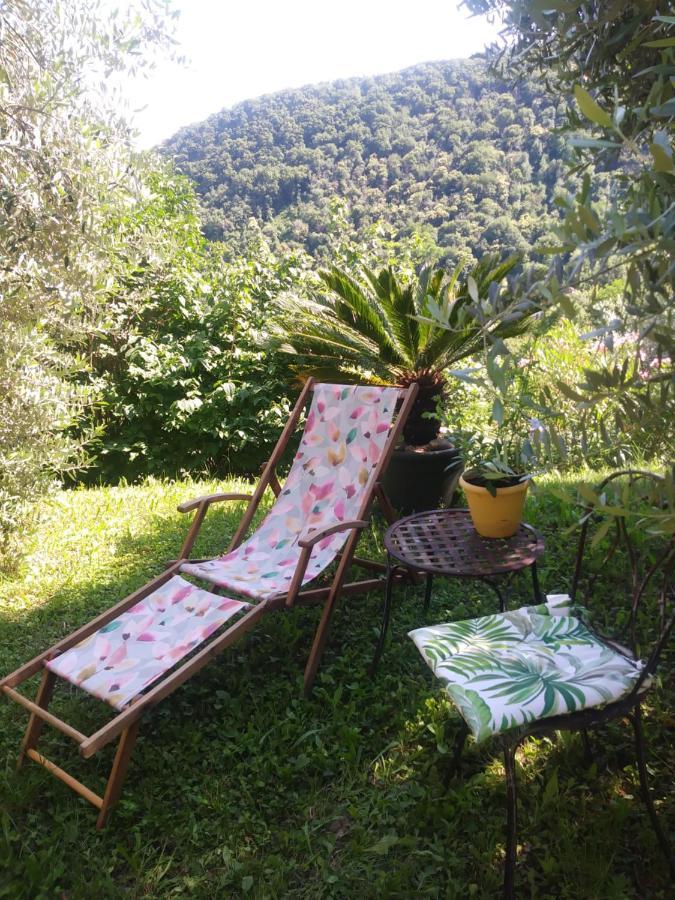 Bed and Breakfast Poggio Del Sole Бассано-дель-Граппа Экстерьер фото